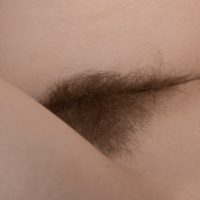 Skinny brunette amateur freeing tiny breasts and hairy vagina from lingerie